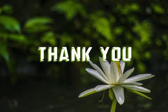 Green Jungle Font PNG with transparent background - Preview 6