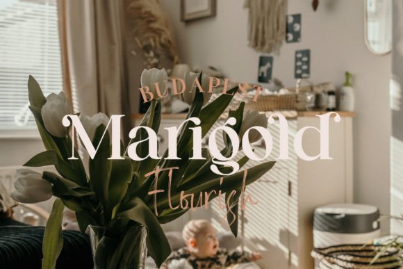 Milden Font PNG with transparent background - Preview 3