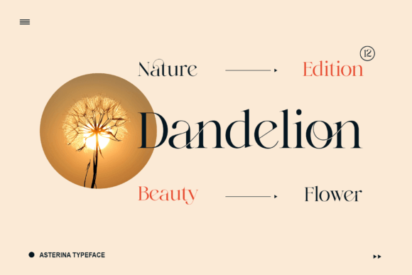 Asterina Font - Preview 6