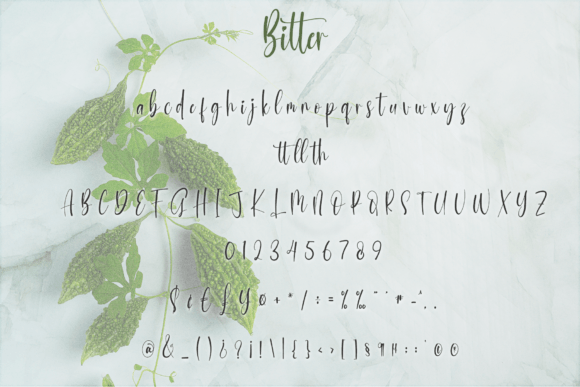 Bitter Font - Preview 5