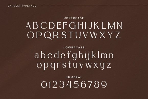 Carvest Font - Preview 1