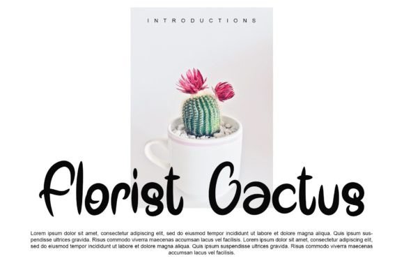 Delight Font - Preview 3