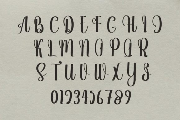 Gabriela Font - Preview 4