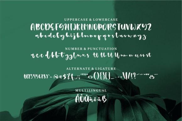 Anderst Font - Preview 5