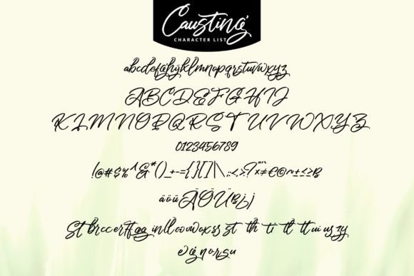 Causting Font - Preview 4
