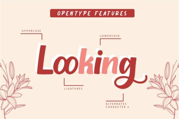 Sanytarie Font font preview - 4