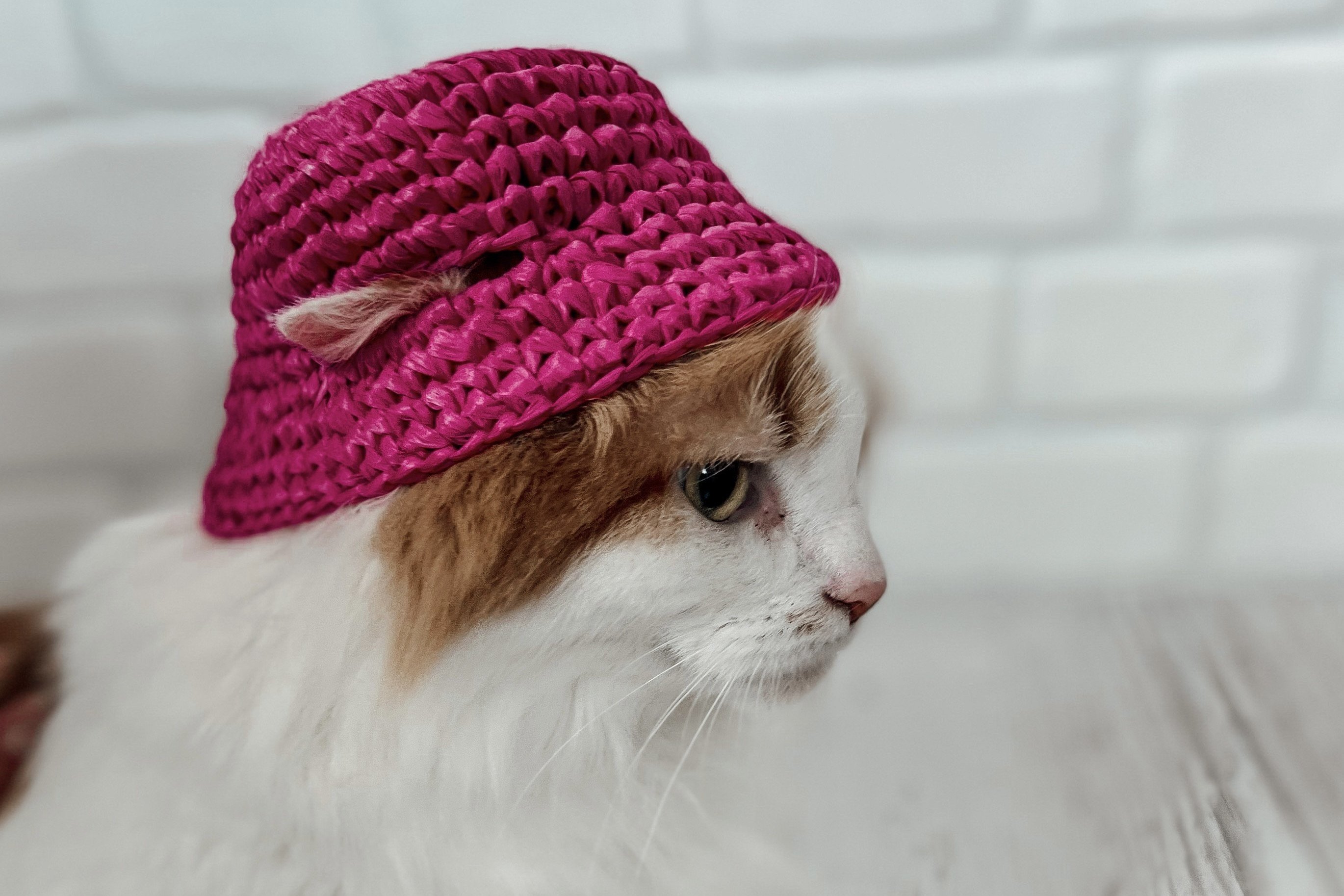 Pets Pink Bucket Hat Crochet Pattern PDF