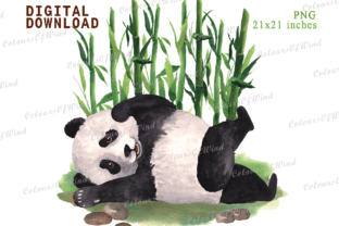 Watercolor Panda in Bamboo Sublimation Graphic by colours_of_wind ...