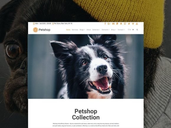 Petshop Responsive WordPress Theme