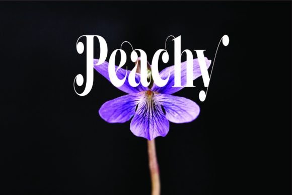 Saniyah Font PNG with transparent background - Preview 5