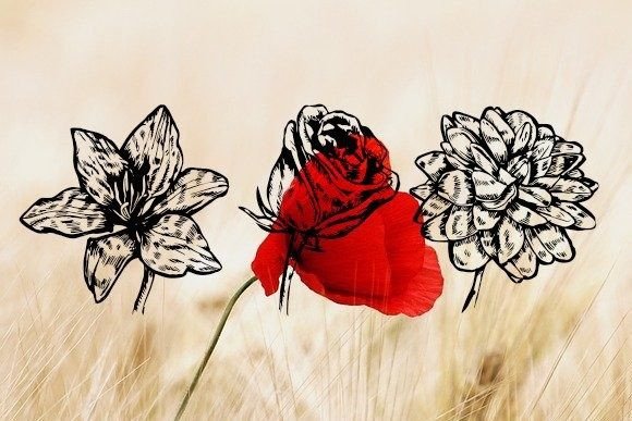 Blumen Font - Preview 1