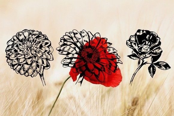 Blumen Font - Preview 2