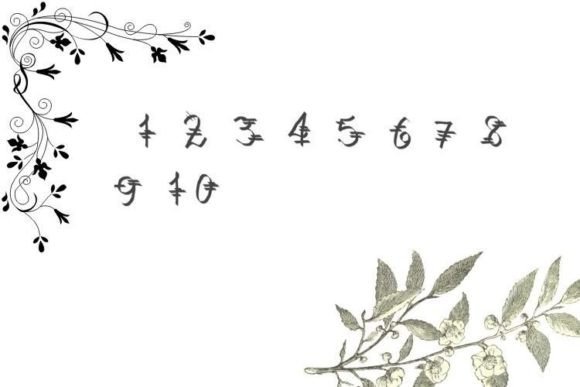 Fok Font - Preview 2