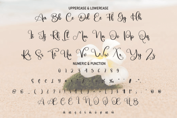 Hawaii Font - Preview 6