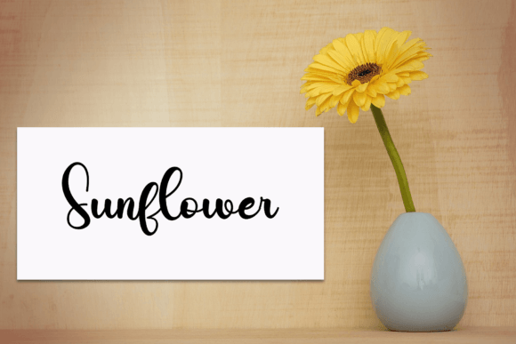 Books Font - Preview 3
