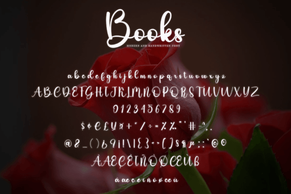 Books Font - Preview 4