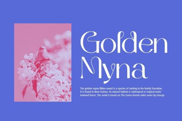 Gradiyla Font - Preview 3