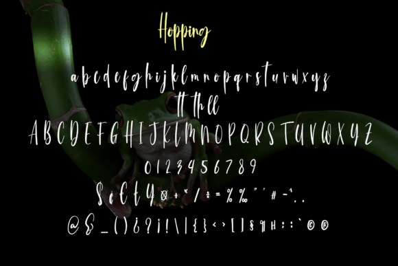 Hopping Font - Preview 5