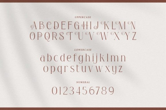 Alloquent Font - Preview 1