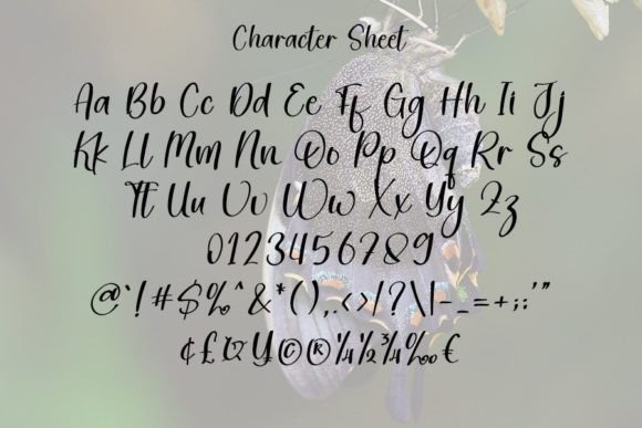 Butterfly Font - Preview 3