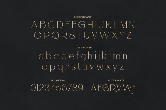 Gasetta Font - Preview 1