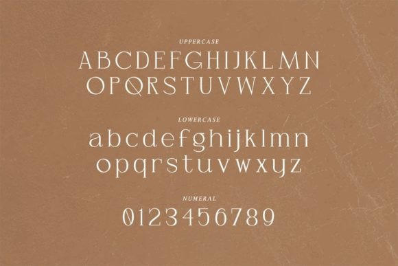 Gilberta Font - Preview 1