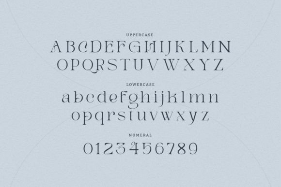 Manease Font PNG with transparent background - Preview 1