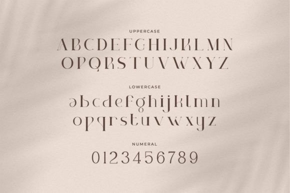 Naive Realism Font PNG with transparent background - Preview 1