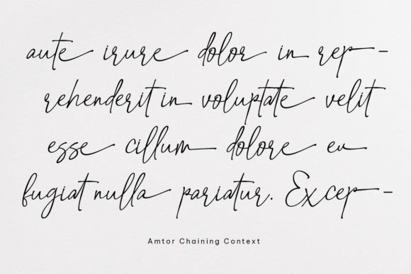Amtor Font - Preview 4