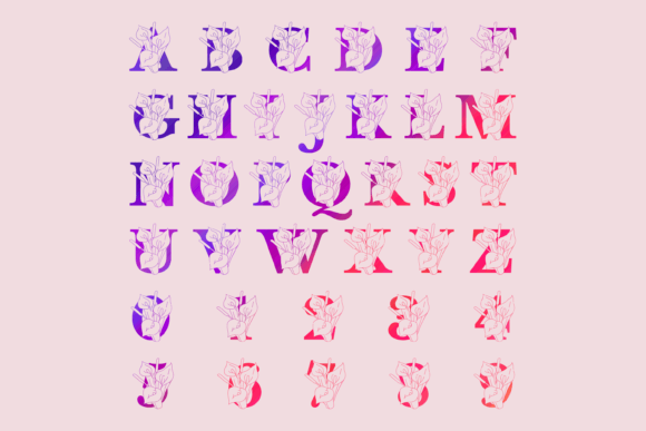 Calla Lily Split Font - Preview 1