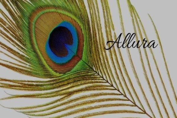 Allura Script & Handwritten Font By Freebies