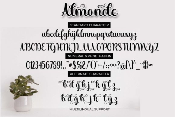 Almonde Font - Preview 6