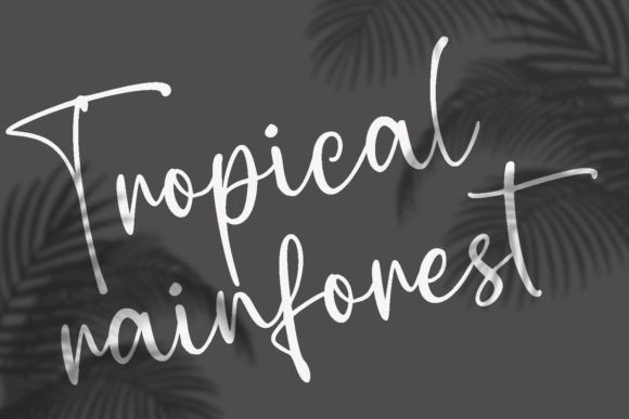 Bella Shiro Font - Preview 5