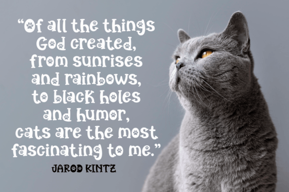 Catlovers Font - Preview 2