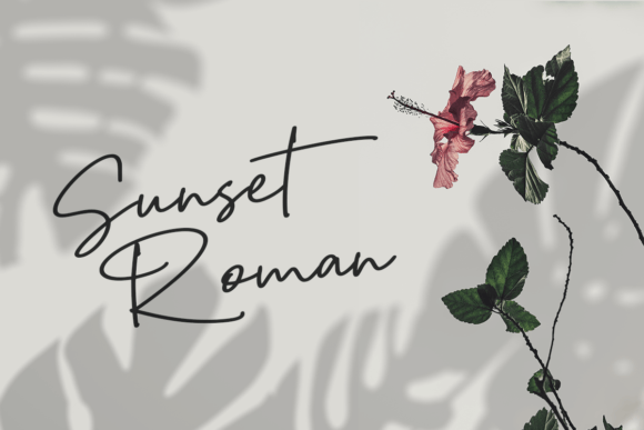 Smart Hallen Font PNG with transparent background - Preview 4