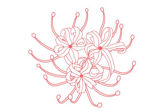 RED SPIDER LILY COLORING PAGE SVG Cut file by Creative Fabrica Crafts   Creative Fabrica