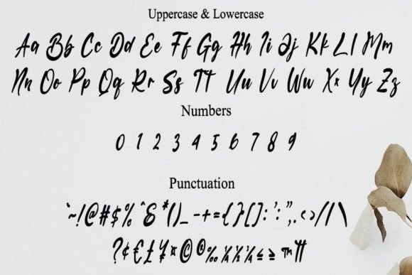 Black Font - Preview 4