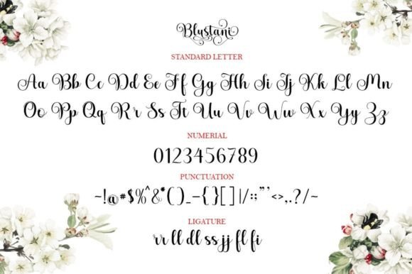 Blustani Font - Preview 5