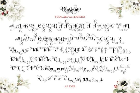 Blustani Font - Preview 6