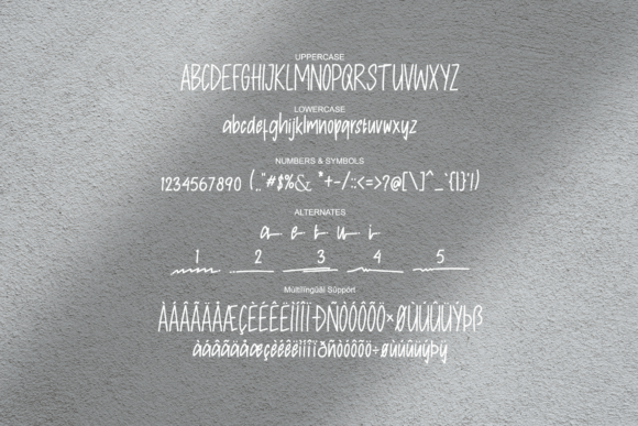 Chacks Font - Preview 1