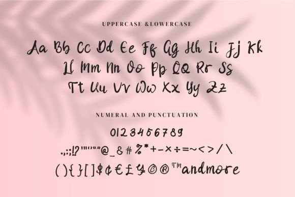 Shellya Cristin Font PNG with transparent background - Preview 6