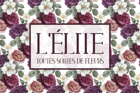 Joliè Font PNG with transparent background - Preview 1