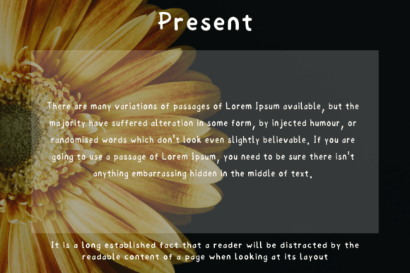 Bella Font - Preview 3