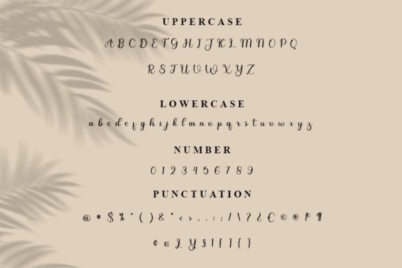 Barista Font - Preview 3