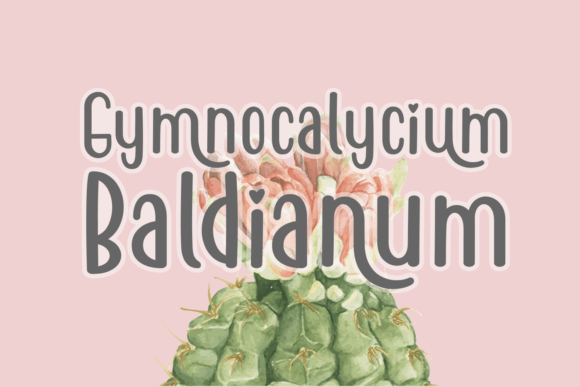Happy Cactus Font - Preview 4