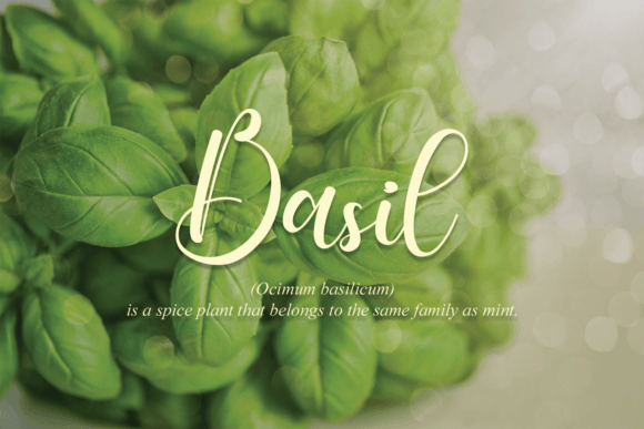 Maharani Font font preview - 3