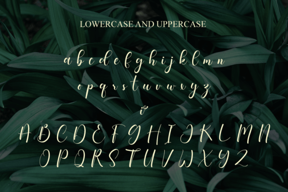 Maharani Font font preview - 5