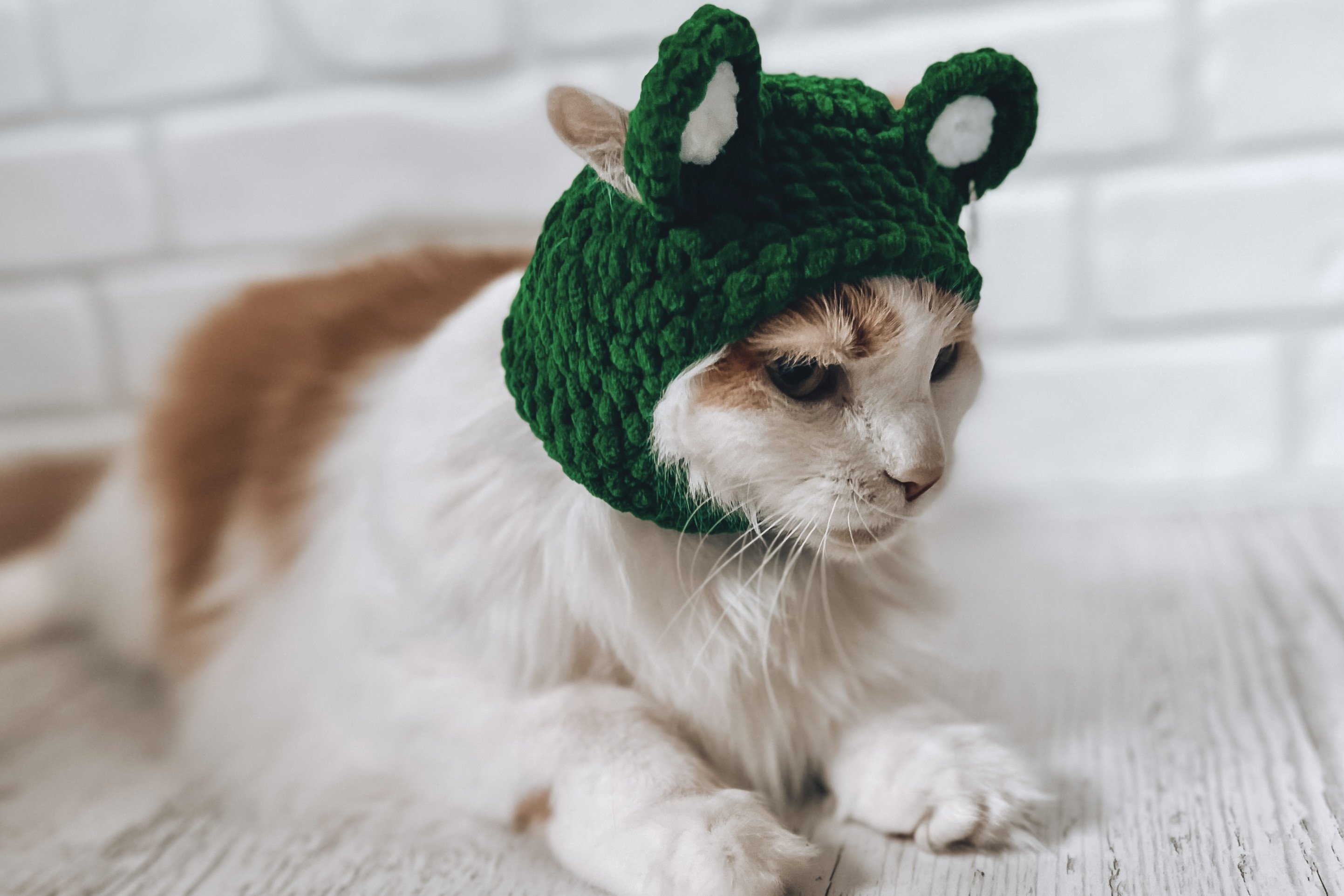 Pets Balaclava Crochet Pattern PDF
