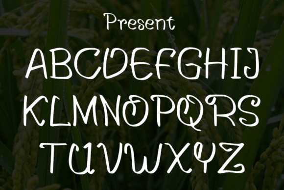 Parri Font font preview - 1