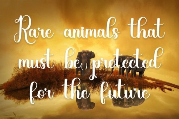 Animals Font - Preview 2